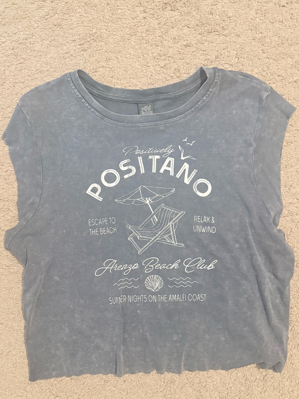 Target Positano Graphic Tee - Dusty Blue with White Print